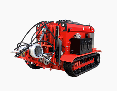 洪澇災(zāi)害領(lǐng)域